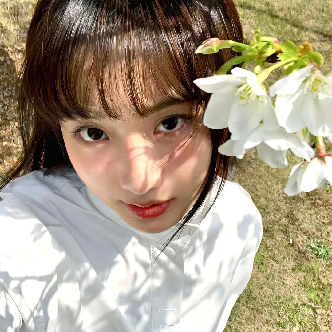 夏日福星