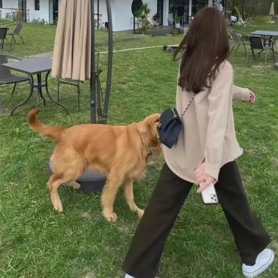 与父亲共度周末